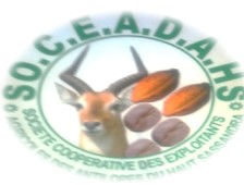 Logo encadrée